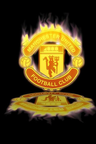 从而稳固了 从而稳固了